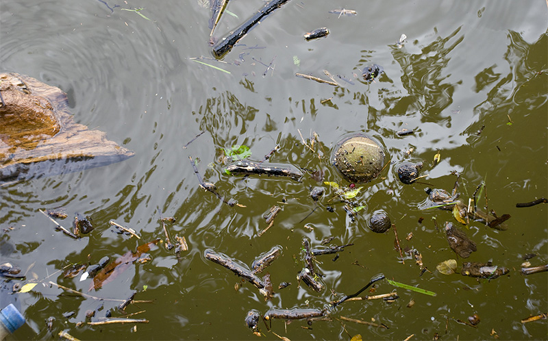 水面垃圾.jpg 水面垃圾.jpg